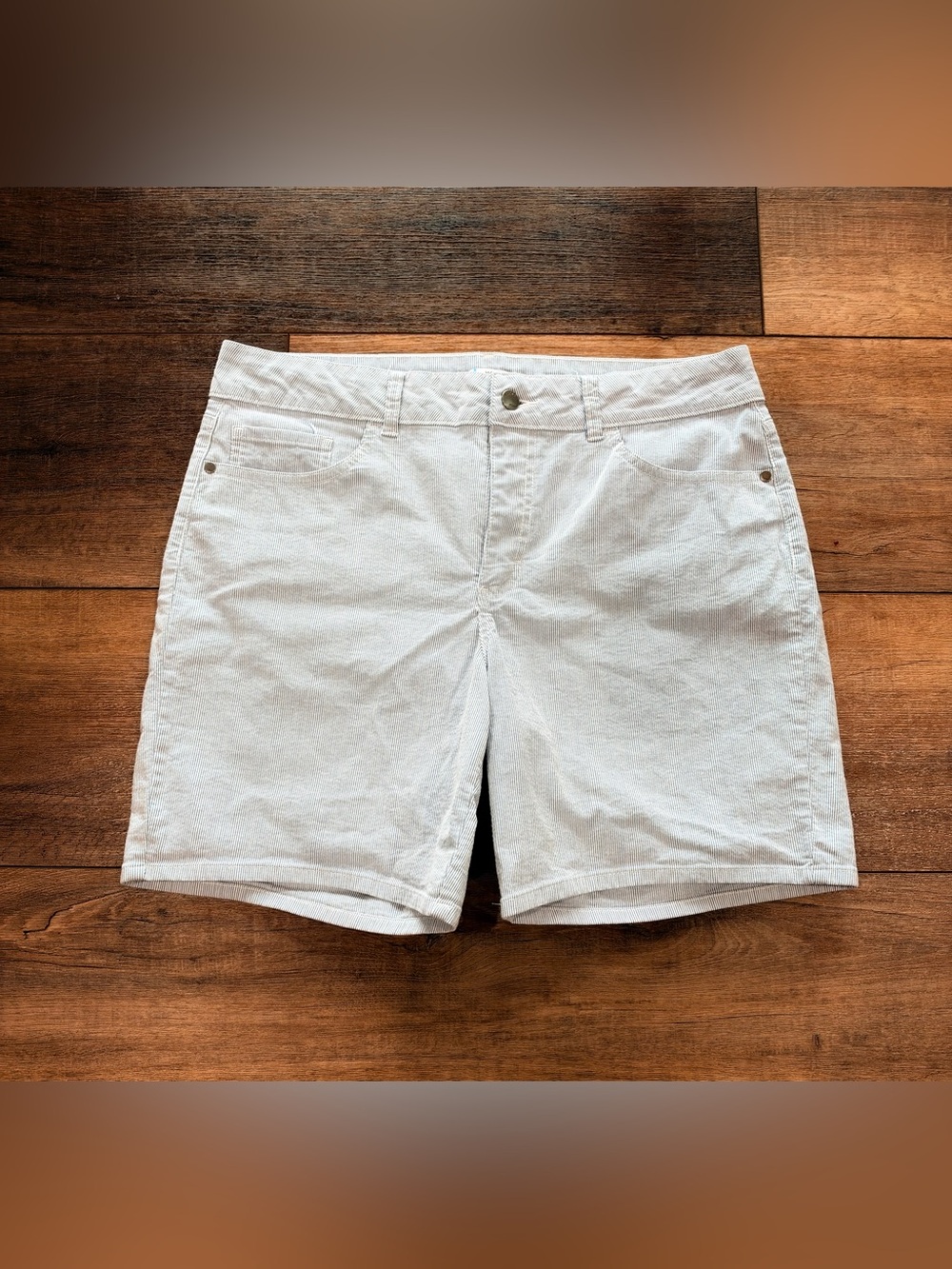 Women's Casual Blue & White Pinstripe Shorts